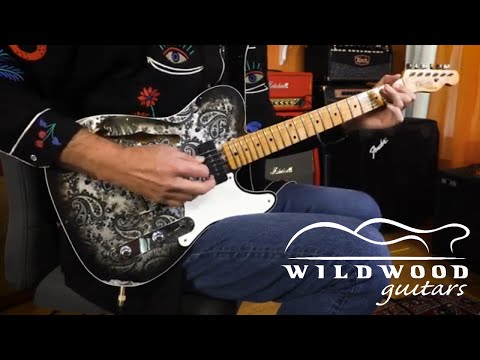 FENDER TELECASTER THINLINE 2022 - BLACK PAISLEY image 4