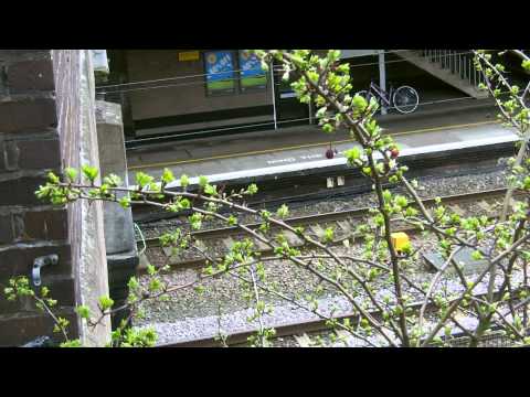 (HD) Network Rail Plasser Tamper Passes Tamworth Low Level