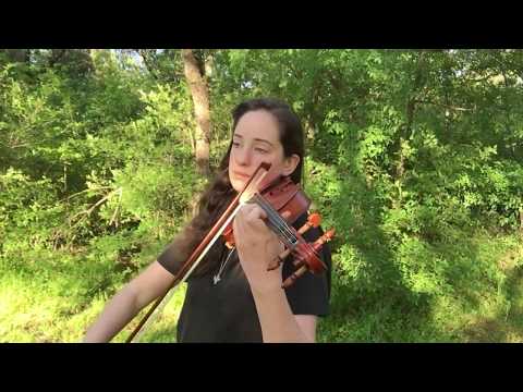 Braveheart 25th Anniversary Tribute--A Gift of a Thistle--Violin Cover