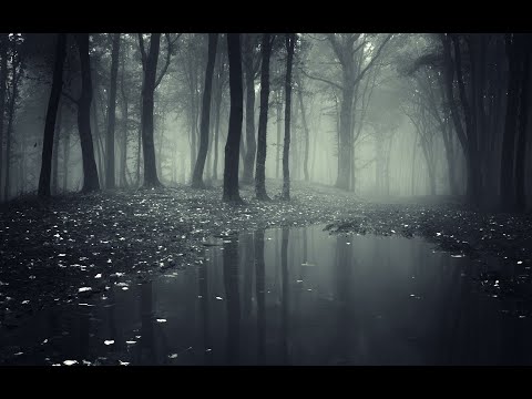 Alberth - Solstice (Lunar Plane Remix)