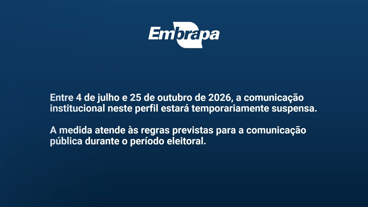 Período eleitoral 2026
