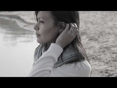 Віктор Павлік - Недописана книга