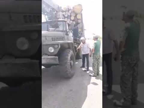 На Богородчанщині люди не пустили лісовоз, який хотів проїхати у спеку по свіжому асфальту. ВІДЕО