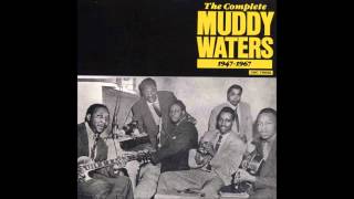 Muddy Waters, I'm a natural born lover