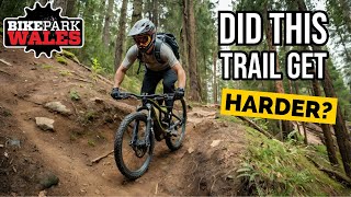 Roots Manoeuvres at Bike Park Wales