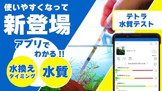 【テトラ水質テスト】テスト6in1で水質と水換えタイミングが一目でわかるアプリの使い方【アクアリウム初心者にもおすすめ】