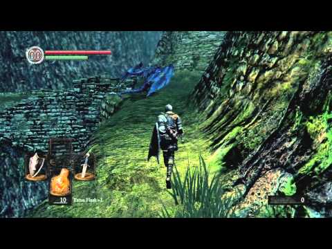 Dark Souls: From Firelink to Darkroot