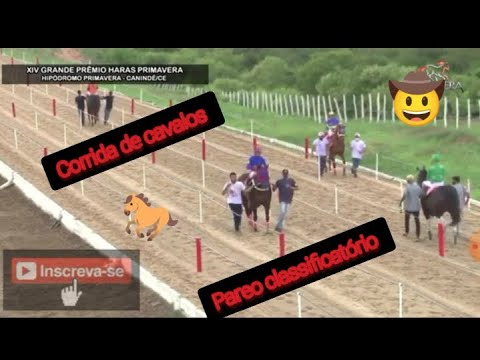 segundo páreo classificatório GP Haras Primavera