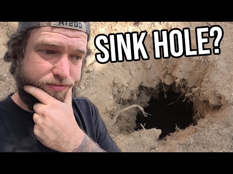 We Found Something Concerning