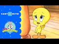 Baby Looney Tunes Tweetys Geheime Geburtstagsparty Cartoonito
