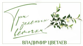 ВЛАДИМИР ЦВЕТАЕВ — ТРИ ЗЕЛЁНЫХ ВЕТОЧКИ ★ НОВАЯ ПЕСНЯ ★ НОВЫЙ ХИТ 2021 ★