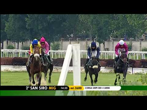 2018.05.13 Corsa Siepi dei 4 Anni (ITA) - Arkalon