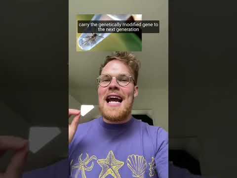 迪斯尼世界如何殺死所有的蚊子!#短褲 (How Disneyworld kills all their mosquitoes! #shorts)