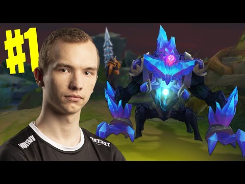 jak gra najlepsza Reksai na świecie?