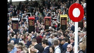 Betting on British and Irish horse racing: Sunday Forum special