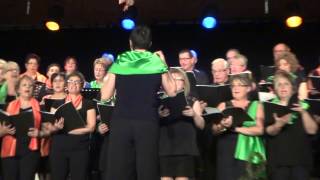 06 Ca sert à quoi tout ça - Maxime Le Forestier