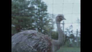 Music video thumbnail preview for Hallo Venray - Jazz by Hallo Venray