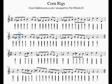 Corn Rigs