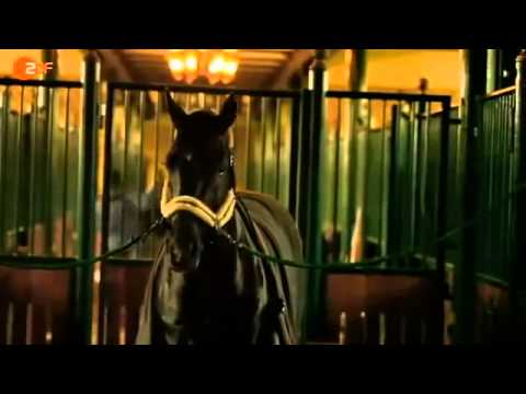 Totilas & co millionengeschäft auf dem rücken der pferde mission gold doku london 2012