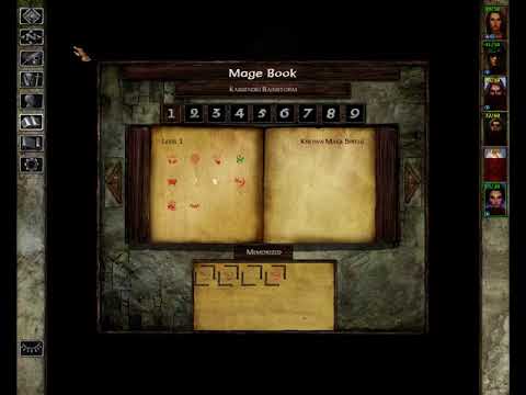 Let's Play Icewind Dale [Enhanced Edition] [11of50]