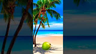 Download lagu #kelapa tumbang #videoviral #celanapendek mp3