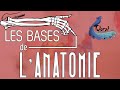 Les bases de l'anatomie (PASS)