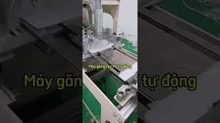 Máy găng tay PE tự động