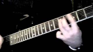 Sonata Arctica - Wildfire (full cover)