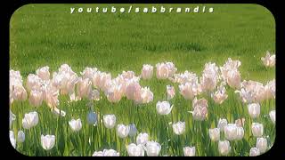 Download lagu SZA - Open Arms (𝙨𝙡𝙤𝙬𝙚𝙙 𝙧𝙚𝙫𝙚𝙧𝙗) (Solo version) mp3 Download lagu SZA - Open Arms (𝙨𝙡𝙤𝙬𝙚𝙙 𝙧𝙚𝙫𝙚𝙧𝙗) (Solo version) mp3