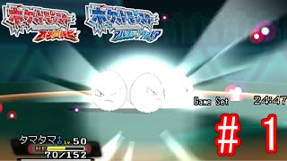 【ポケモンαサファイア】タマタマは輝いた　＃１