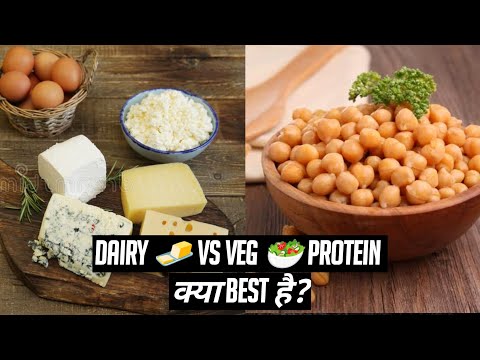 Dairy vs Veg Video