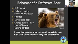 Wildlife Wednesdays Lecture: Bear and Moose Safety by Tom Griffin, ADFG on October 27th, 2021