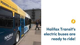 Halifax Transit Electric Buses.