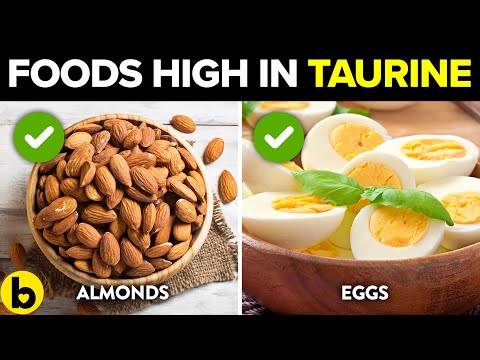 10 Foods With The Highest Amounts Of Taurine