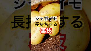 ジャガイモの芽を防ぐ保存法 #健康 #健康習慣