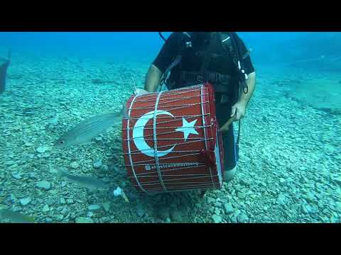 Asma Davul Virtüözü Ahmet Çelik Denizin Altında Davul Çaldı… 11.09.2021 Muğla / Fethiye /Mavi Mağara