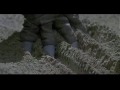 Apollo 13 Lunar Dreams