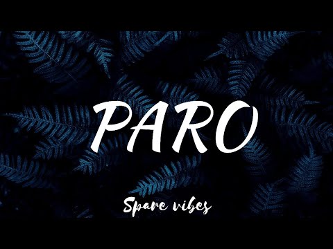 Nej - Paro (Lyrics) allo allo tik tok song