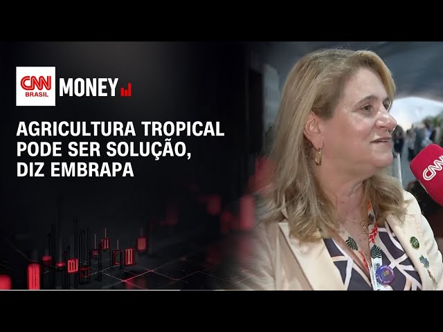 Agricultura tropical pode ser solução, diz Embrapa | MONEY NEWS