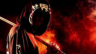 Cover art for Warrior