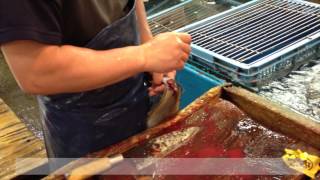 Ike-Jime, The Fish Killing Man at Tsukiji Market