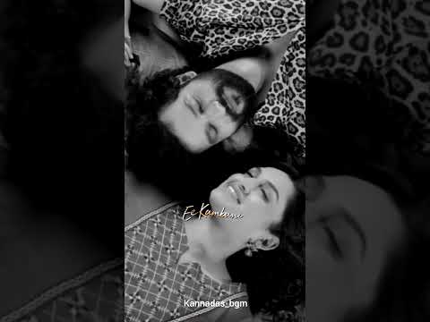 MALEY MALEY whatsapp status