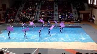 preview picture of video 'Acadiana HS Winter Guard 2/8/14'