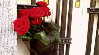 Alain Clark - Love is everywhere OFFICIAL VIDEO