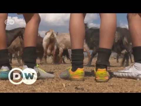 Türkei: Ziegen statt Fußball | DW Deutsch