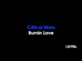Critical Mass - Burnin Love 