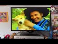 Opening To The Wiggles Magical Adventure 2003 US DVD