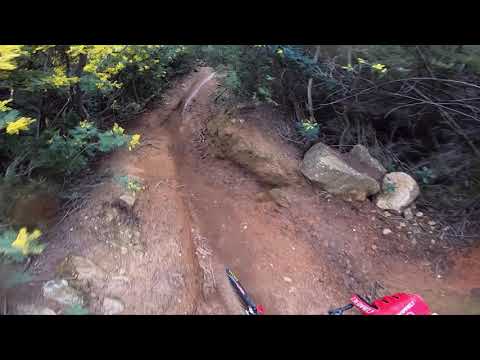 Run VTT DH Mandelieu la Napoule 2021