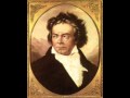 Beethoven - Symphony No.7 in A major op.92 - III, Presto