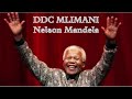 DDC MLIMANI PARK NELSON MANDELA